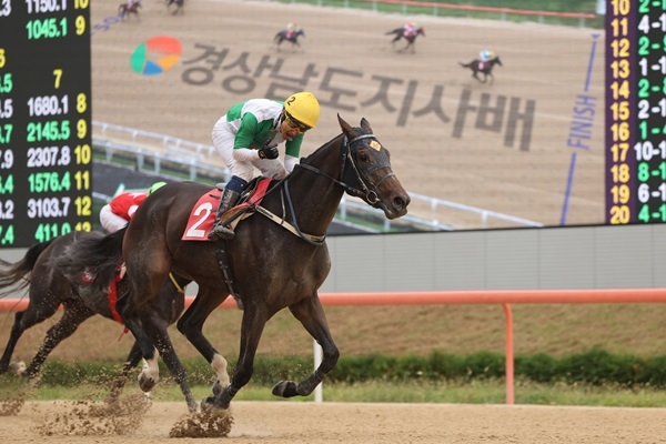 경상남도지사배에서 결승선을 통과하고 있는 원더풀슬루. 사진=한국마사회