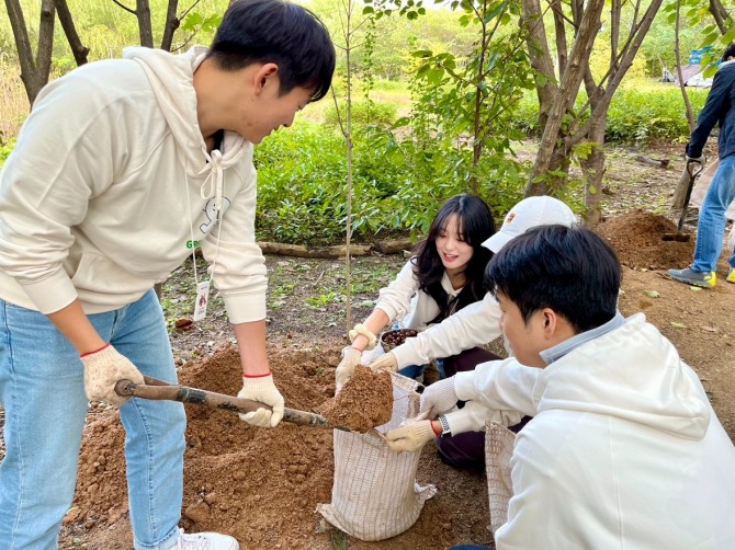 현대캐피탈 임직원들이 노을공원에서 생태 복원을 위한 활동을 하고 있다. 사진=현대캐피탈 제공.