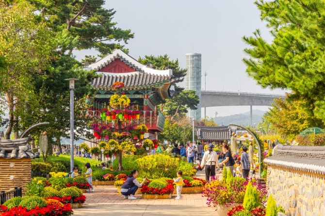 계양아라온 '가을꽃 전시회'  가족들이 꽃을 보며 추억을 남기고 있다.  사진=계양구