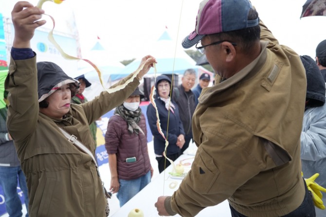  제18회 청송사과축제는 첫날 청송문화제를 성대하게 개최하며 성황을 이뤘다. 사진=청송군