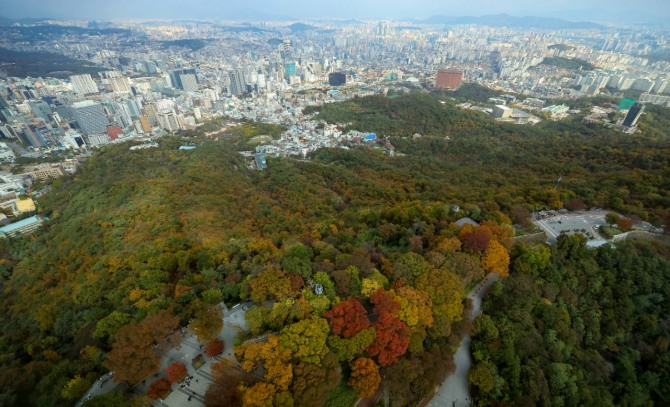 28일 서울 남산 서울타워에서 가을단풍으로 물들어 있는 남산을 바라본 모습. 사진=연합뉴스