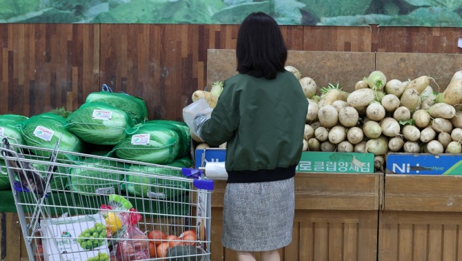 한국은행은 5일 김웅 부총재보 주재로 '물가상황 점검회의'를 개최하고 최근의 물가 상황과 향후 물가 흐름을 점검했다. 이날 서울 서초구 농협하나로마트 양재점에서 한 시민이 무를 구매하고 있다. 사진=뉴시스