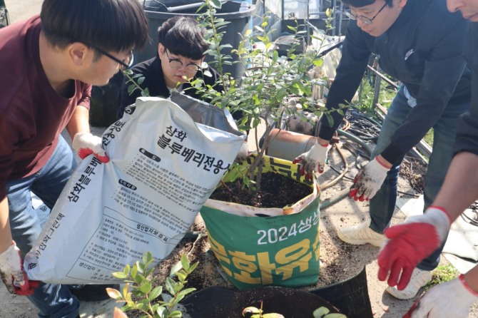 담양군이 폐현수막을 재활용한 농작물 화분을 제작, 농가에 배부해 농업인들에게 큰 호응을 얻고 있다. 사진=담양군