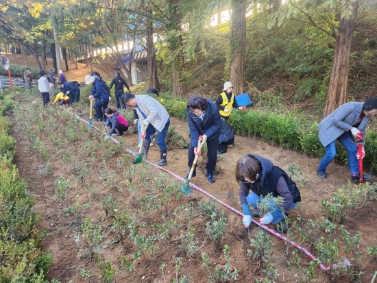 인천 남동구 장수서창운연동 주민자치회와 통장협의회는 최근 서창중학교 인근에 힐링 꽃밭을 조성했다. 사진=남동구