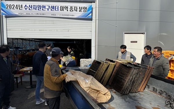 기장군 수산자원연구센터에서 자체생산한 미역종자를 어업인들이게 배분하고 있다. 사진=기장군