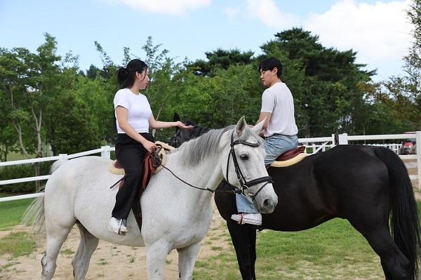 미혼남녀가 렛츠런파크 승마랜드에서 말과 함께 즐거운 한때를 보내고 있는 모습. 사진=렛츠런파크 부산경남