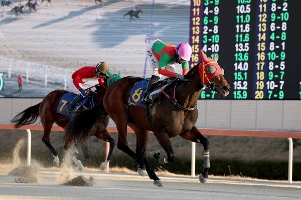 제17회 경남도민일보배, 차세대 단거리 신예강자 총출동 - 뉴스 썸네일 이미지