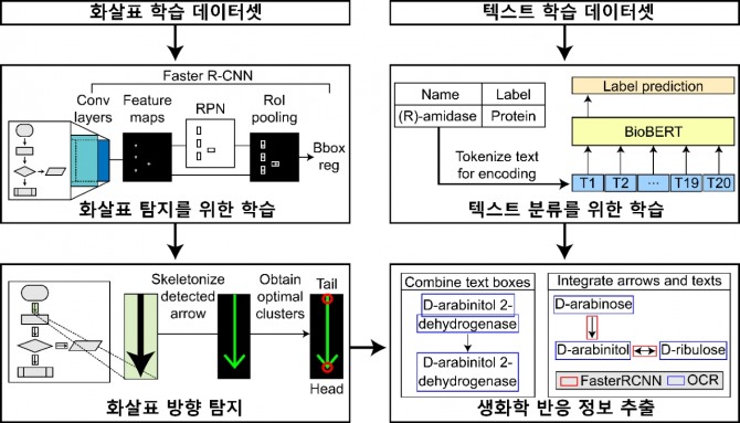 바이오 경로 이미지에서 생화학 반응 정보를 추출하는 EBPI의 모식도. 사진=KAIST