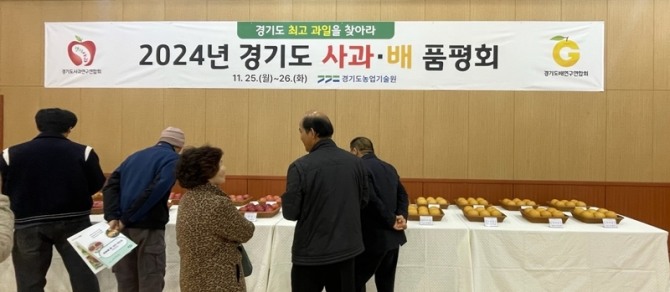 여주시가 25일 열린 경기도 사과·배 품평회서 배 부문 대상을 수상했다. 사진=여주시