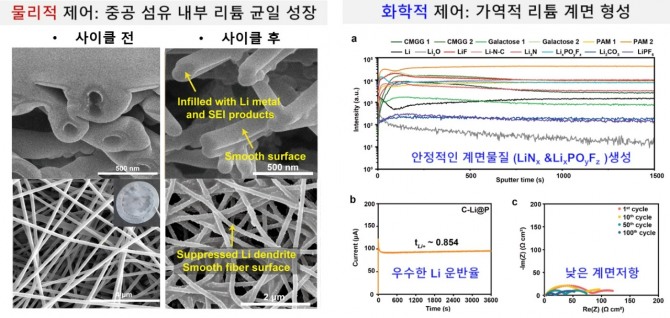 개발된 중공 나노섬유 보호막을 통한 리튬 수지상 결정의 물리적 및 화학적 제어 이미지. 사진=KAIST