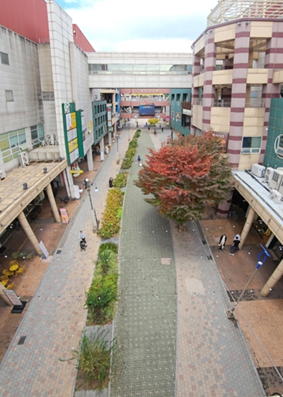 거리정원이 조성된 라페스타 중앙통로. 사진=고양시