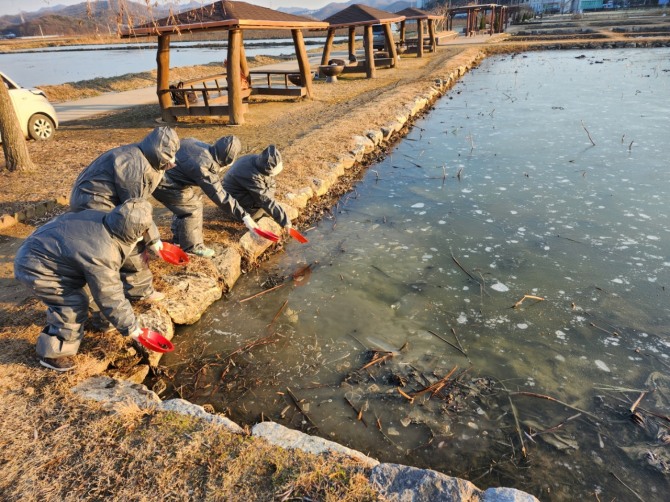 시흥시는 지난 17일 시흥환경연대와 명예환경감시원 40여명과 연꽃테마파크 일원에서 천연기념물 겨울 철새 먹이주기 캠페인을 진행했다. 사진=시흥시