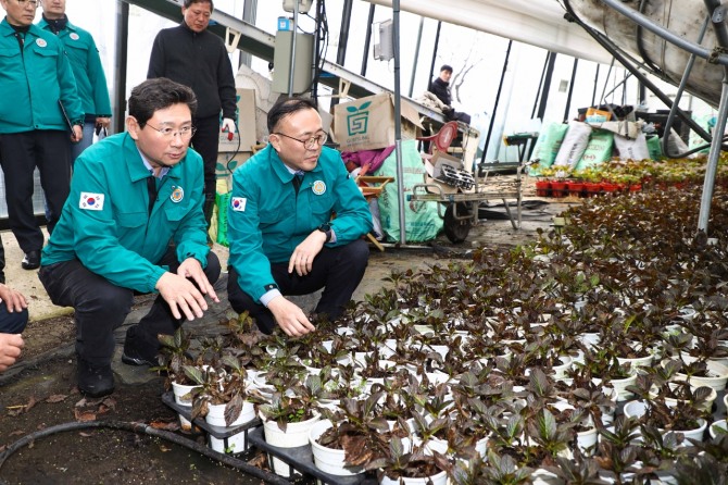 이상일 용인특례시장과 이한경 행정안전부 차관과 폭설 피해를 입은 처인구 남사읍 진목리 화훼농가 현장을 점검하고 있다. 사진=용인특례시