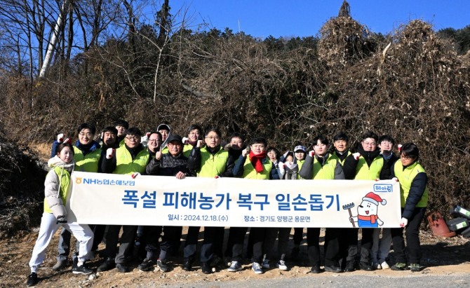 서국동 대표이사(사진 앞줄 왼쪽 다섯 번째)와 헤아림 봉사단이 기념 촬영을 하고 있다. 사진=NH농협손보 제공.