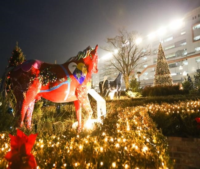 한국마사회는 다음 달 4일 렛츠런파크 서울 중문 광장에서 신년 첫 경마를 맞이하여 '흥겨운 새해馬중' 행사를 개최한다. 사진=마사회