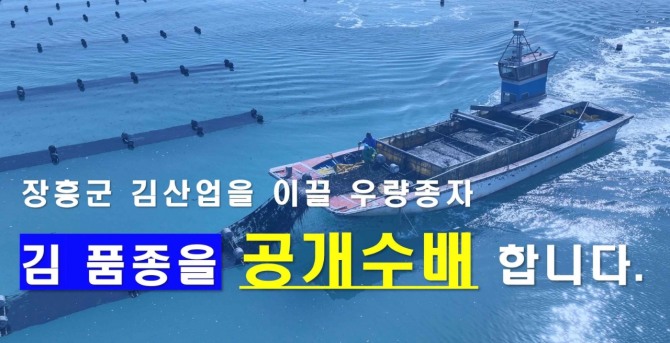 장흥군이 기후변화와 해양 환경 변화에 대응해 지속 가능한 김 양식 산업을 위해 ‘우량 김 품종’ 발굴 프로젝트에 착수했다. 사진=전남 장흥군