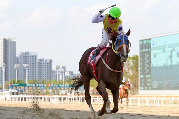 새해부터 채찍 사용 횟수 축소 등 경마 심판 규칙이 달라진다. 사진=한국마사회 렛츠런파크 부산경남 