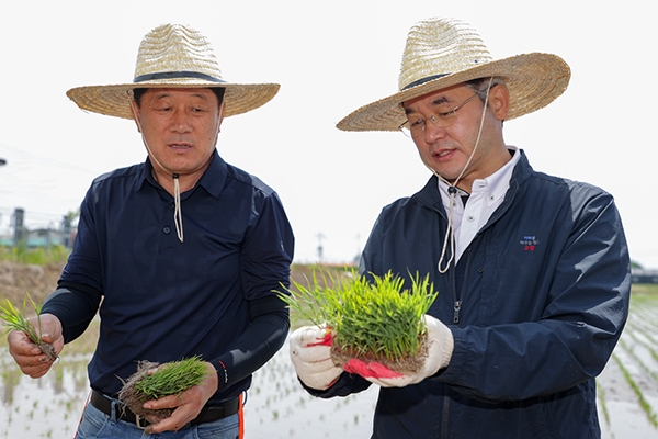 가와지1호 모내기 시연에 참석한 이동환 고양특례시장(왼쪽). 사진=고양시