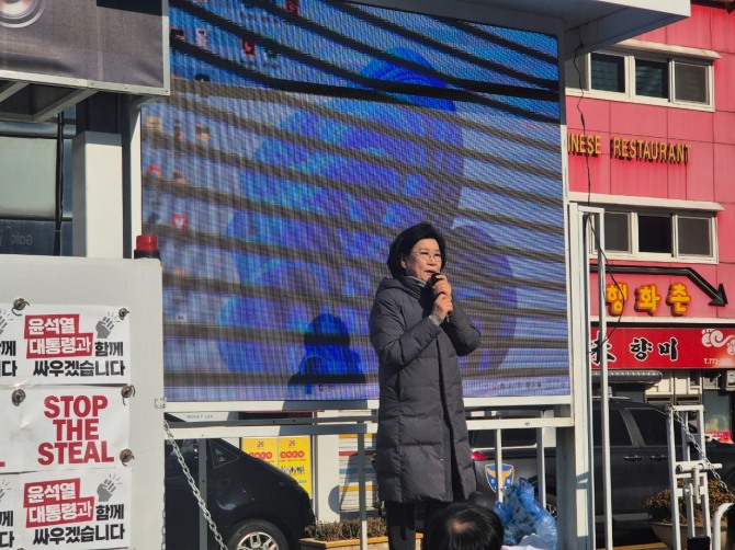 17일 이혜훈 서울 중구성동을 당협위원장이 서울 중구 소공로에 있는 서울중앙우체국 앞에서 탄핵 반대 발언을하고 있다. 사진=노춘호 기자