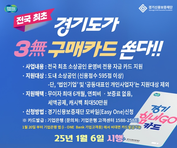 소상공인 전용 신용카드인 '경기 소상공인 힘내GO 카드' 안내 포스터. 사진=경기도