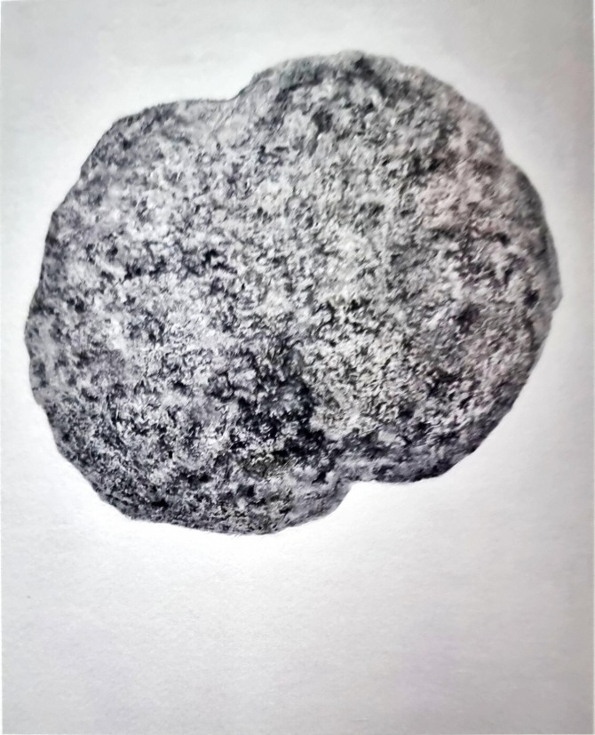 C-apple, 90.9×72.7cm, mixed media on canvas, 2024