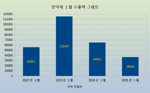 양극재 슬롯사이트 추천액 그래프. 