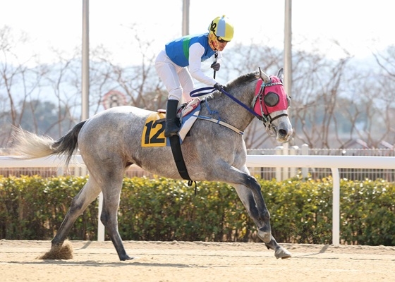 이성재 기수의 경주 모습. 사진=렛츠런파크 부산경남