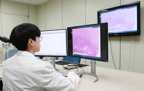  한림대슬롯 머신 일러스트은 국내 최초로 ‘슬롯 머신 일러스트 통합 디지털 병리 시스템’ 구축했다고 13일 밝혔다. 사진=한림대슬롯 머신 일러스트