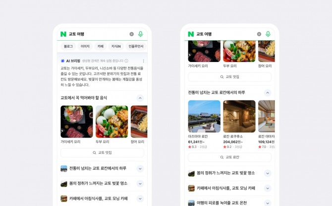 'AI 브리핑' 쇼핑형 샘플. 사진=네이버