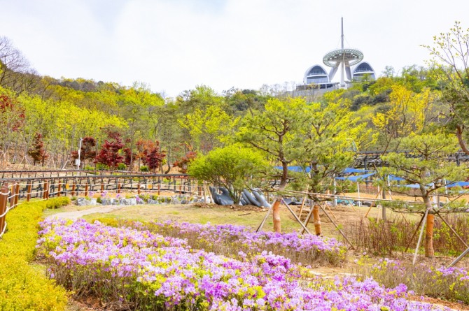 인천 강화도 화개정원에서는 다채로운 꽃들과 조형물이 어우러진 오색 테마정원 등 풍성한 구성으로 관광객의 시선을 끌고 있다. 사진=강화군