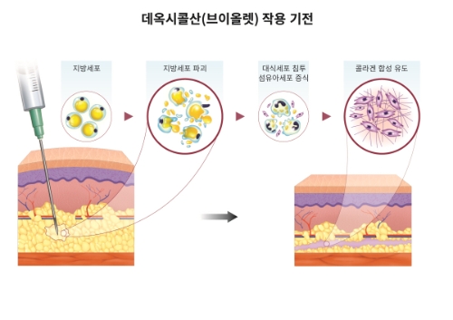 대웅제약은 브이올렛 연구 결과를 발표했다고 19일 밝혔다. 사진=대웅제약
