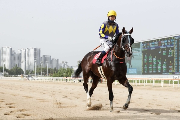 투혼의반석 2024년8월4일 KRA컵클래식 출전 모습. 사진=렛츠런파크 부산경남