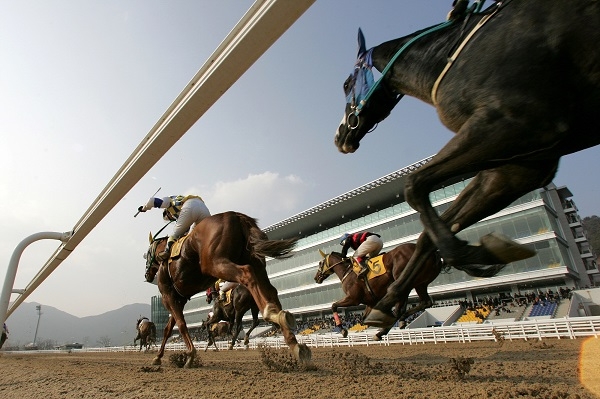오는 4주간 8일에 걸쳐 한국마사회 렛츠런파크 부산경남은 매주 금요일 부경 시행 8개 경주와 제주 중계 8개 경주를 진행한다. 사진=렛츠런파크 부산경남