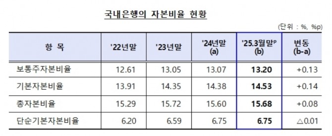 표=금융감독원 