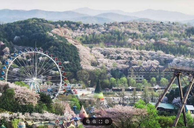 에버랜드 전경. 사진=용인특례시