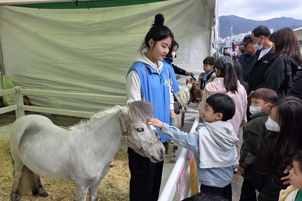 부산의 한 지역축제에서 말과 교감하고 있는 모습. 사진=렛츠런파크 부산경남
