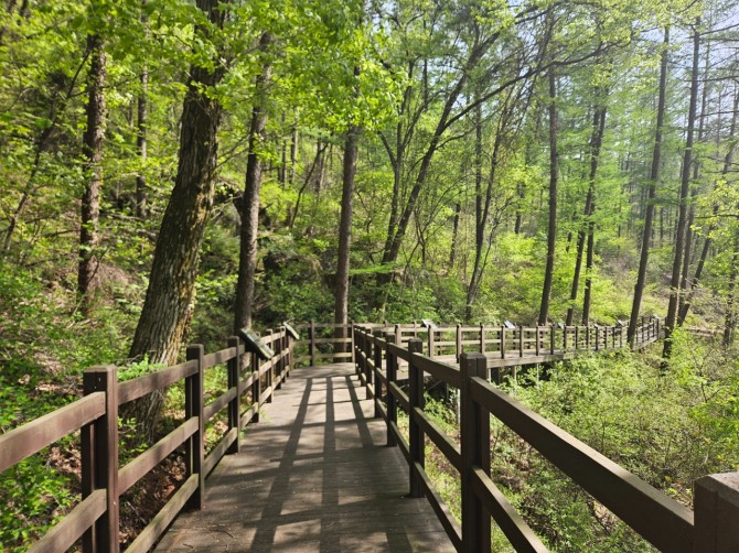 지난 2일 용인특례시는 처인구 왕산리 산93번지 인근 태교숲길의 파손된 시설물을 보수한 숲길 전경. 사진=용인특례시
