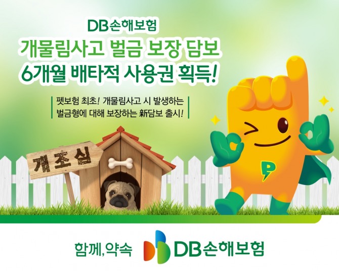 DB손해보험이 개물림사고 벌금 보장 관련 독점권을 획득했다. 사진=KB손보 제공.