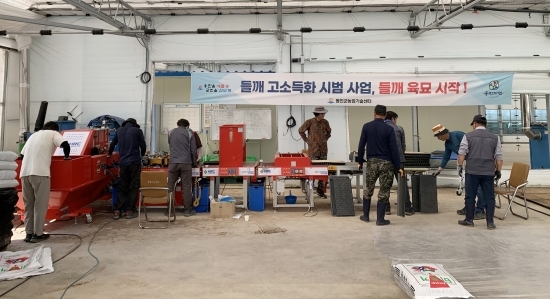 백령면 농작물 공정육묘장 '들깨 육묘' 시작 전경. 사진=옹진군