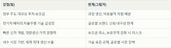 중국 자동차 산업의 빛과 그림자. 자료=글로벌이코노믹