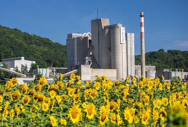 2024년 7월 25일 스위스 로잔 근처 에클레펜스에 있는 시멘트 제조업체 홀심(Holcim)의 공장 앞에서 해바라기가 보인다. 사진=로이터