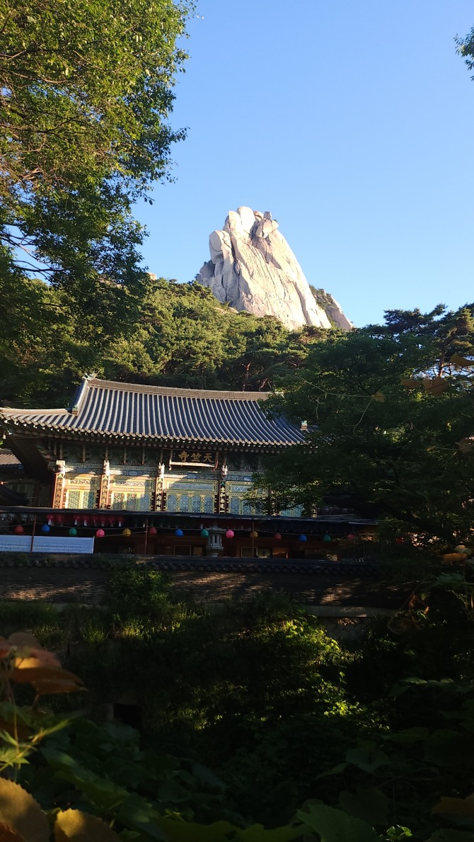 도봉산의 여름, 백승훈 시인