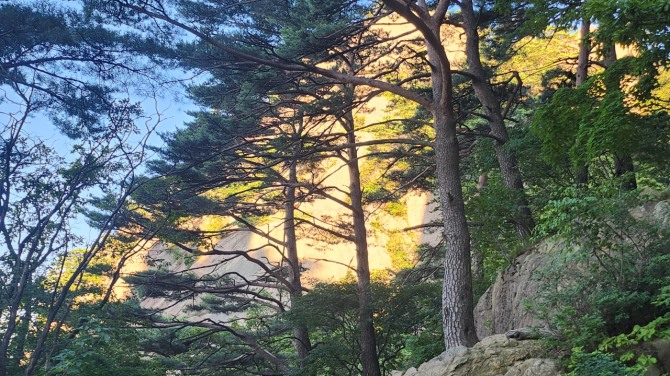 도봉산의 여름, 백승훈 시인