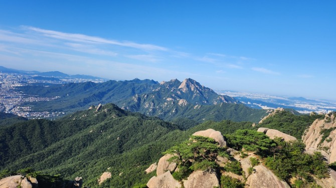 도봉산의 여름, 백승훈 시인
