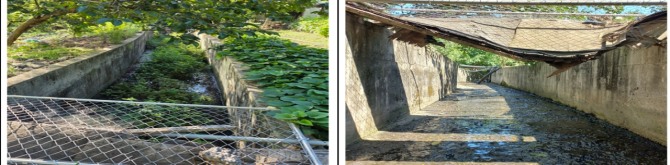 지난 3일 조치전 하천 (약 60 m)과 11일 조치후 하천. 사진=서울시의회