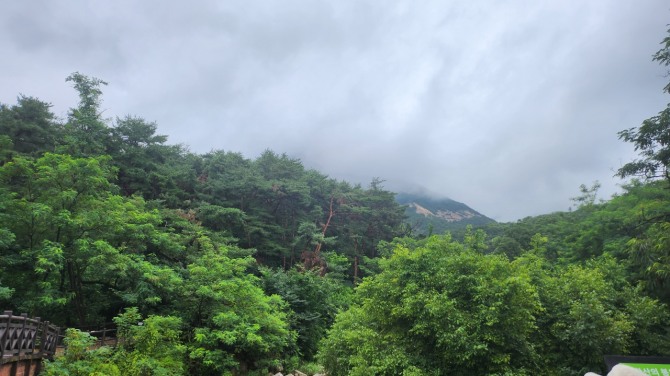 우중산행(雨中山行), 백승훈 시인