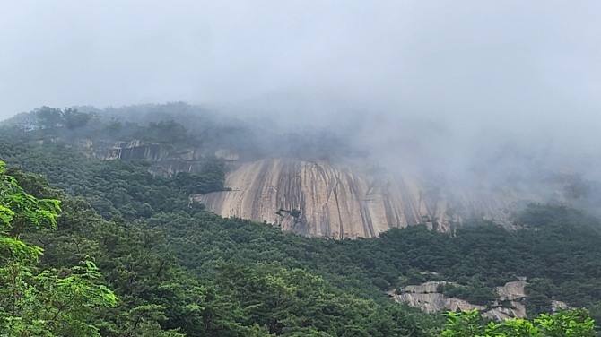 우중산행(雨中山行), 백승훈 시인