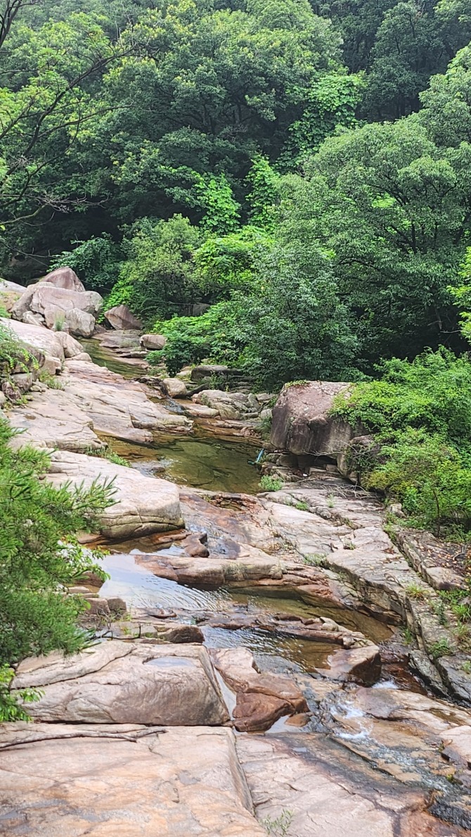 우중산행(雨中山行), 백승훈 시인