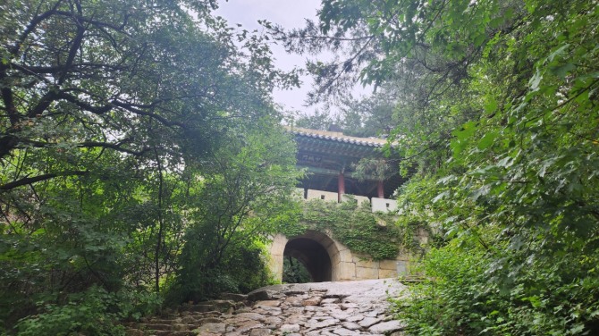 우중산행(雨中山行), 백승훈 시인