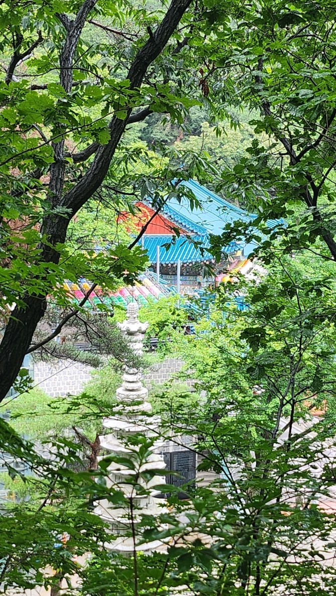 우중산행(雨中山行), 백승훈 시인